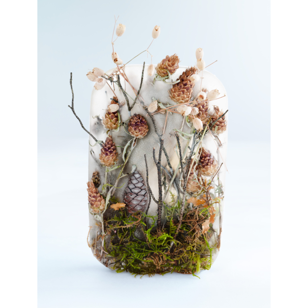 Forest in ice