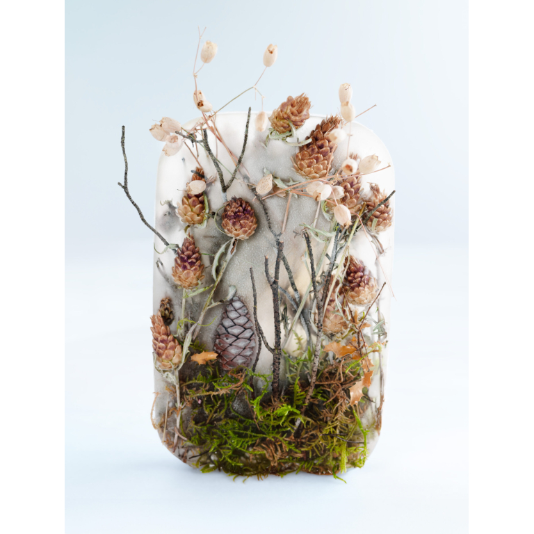 Forest in ice
