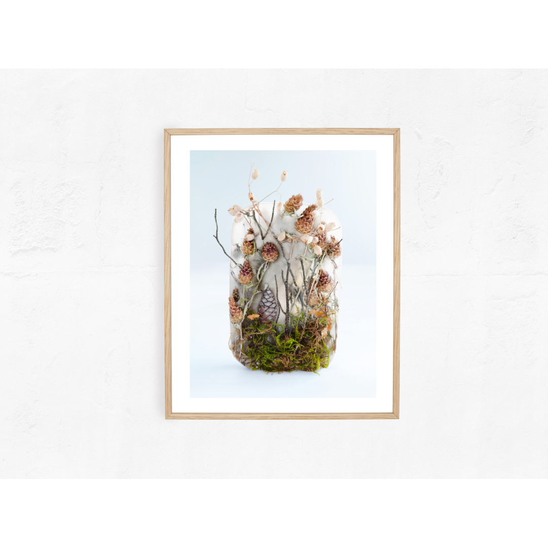 Forest in ice - Image 2
