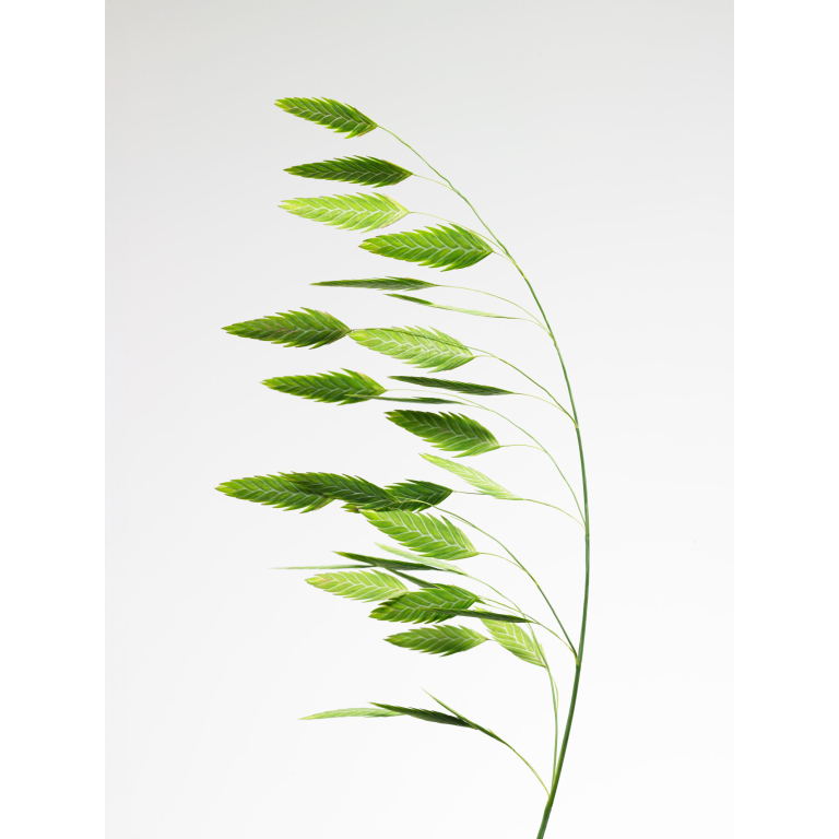 Minimalist botanical print of delicate green leaves, perfect for modern home decor and nature-inspired interiors