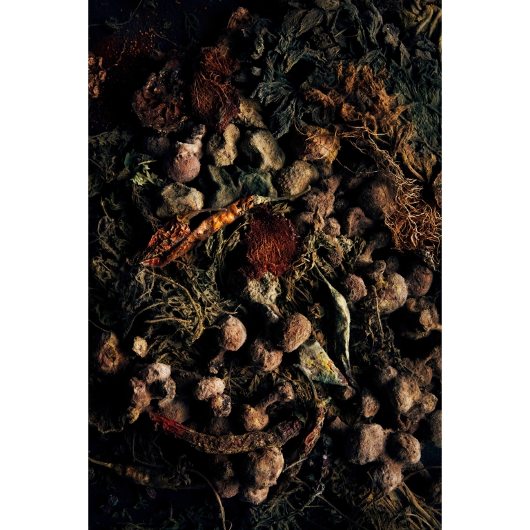 Fine art photograph featuring organic textures, dried botanicals, and earthy elements, symbolizing nature’s cycle of decay and renewa