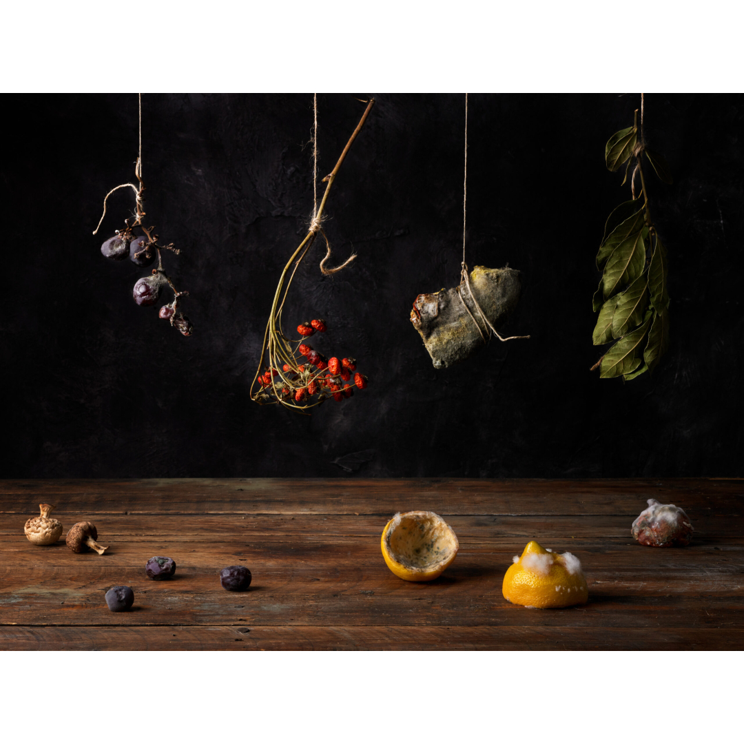 hanging vegetables on dark background