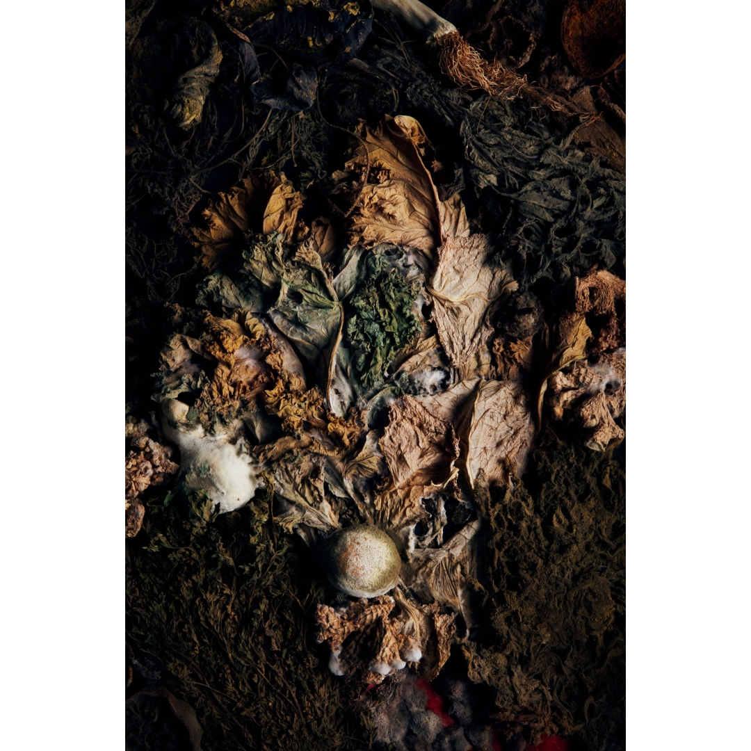 Fine art photograph featuring organic textures, dried leaves, and earthy elements, symbolizing the beauty of nature’s impermanence